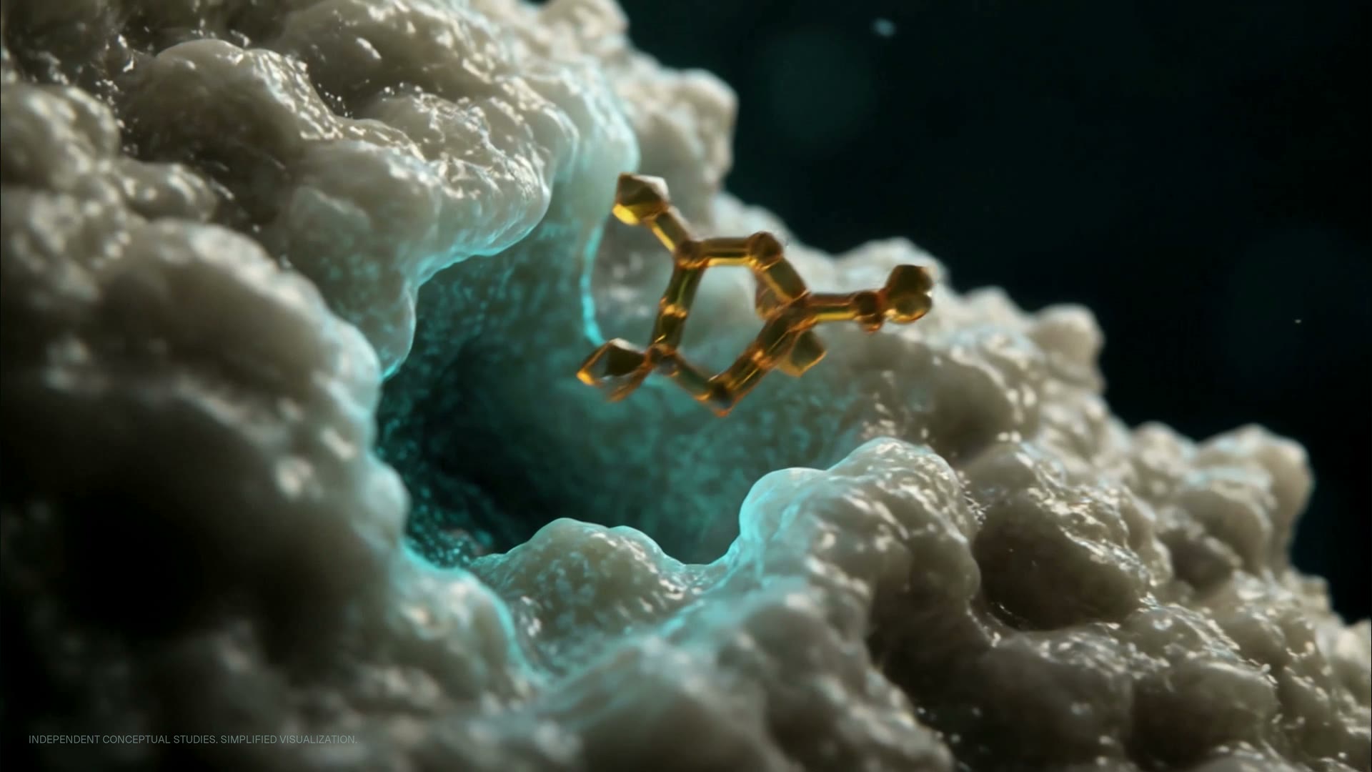 An extended selection of anatomy, cells, molecules and the transitions between them.