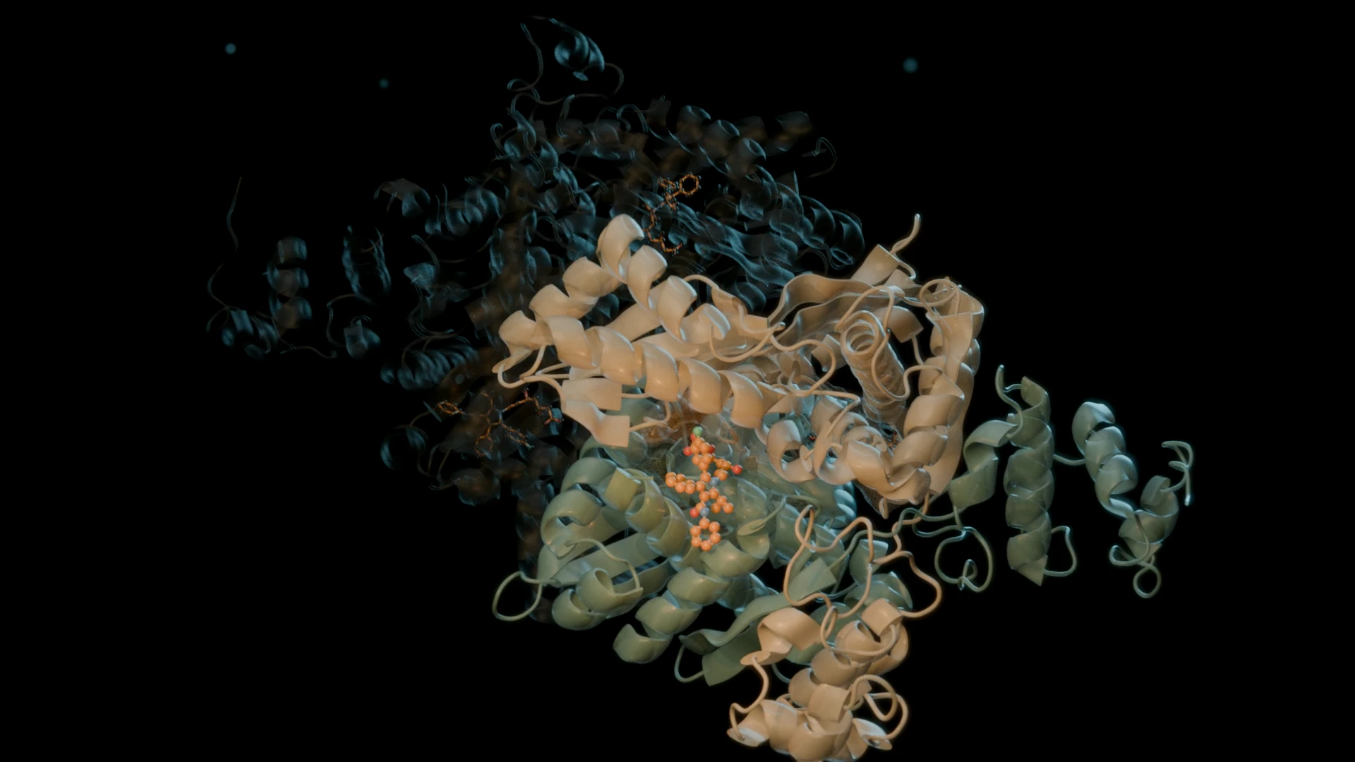 From the liver to the enzyme pocket, a closer look at cholesterol synthesis.